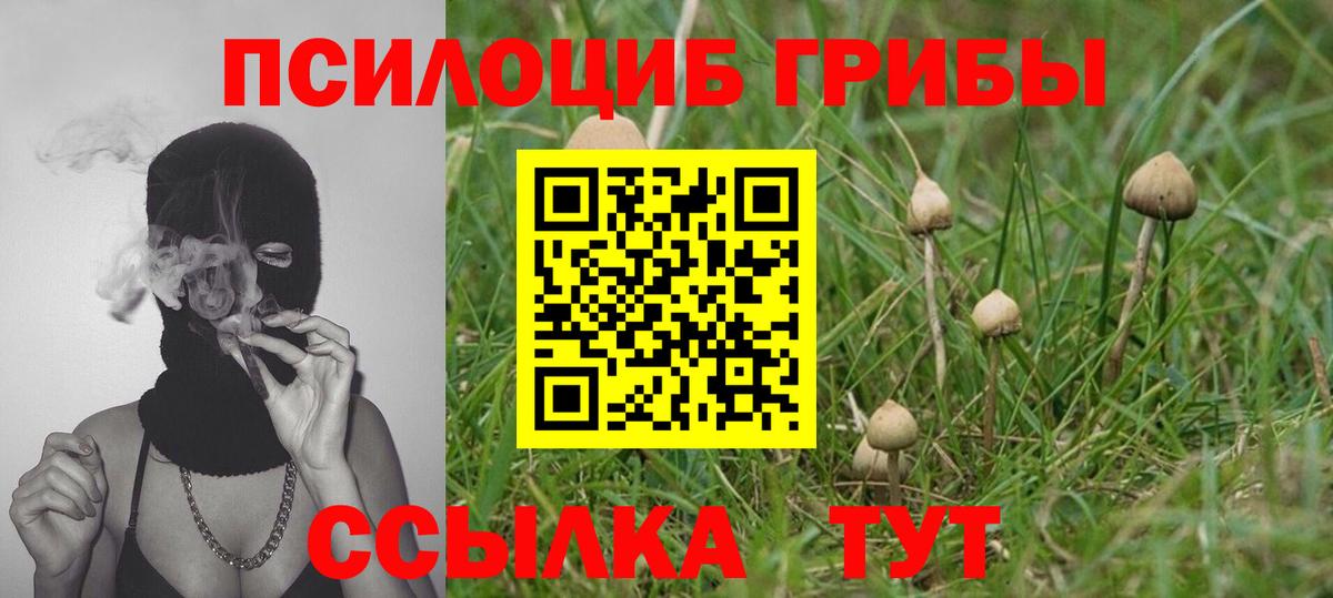 Галлюциногенные грибы мицелий  Псилоцибиновые грибы прущие грибы  Вход с VPN  Орёл 